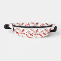 Orange and white koi fish