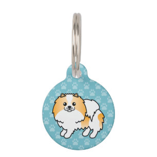 Orange And White Pomeranian Dog And Pet's Info Pet Tag