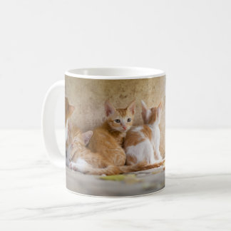 Orange and White Tabby Kitten/Add Your Pet's Photo Coffee Mug