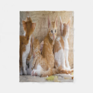Orange and White Tabby Kitten/Add Your Pet's Photo Fleece Blanket