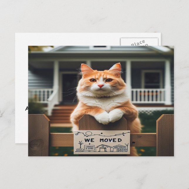 Orange and white tom cat we moved announcement postcard (Front/Back)