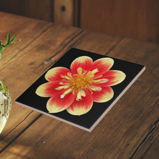 Orange and Yellow Collarette Dahlia Floral Tile (In Situ)