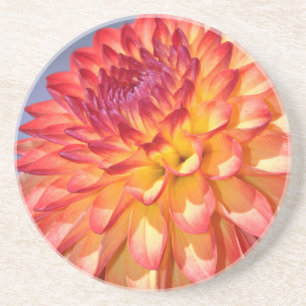 Orange and yellow dahlia coaster