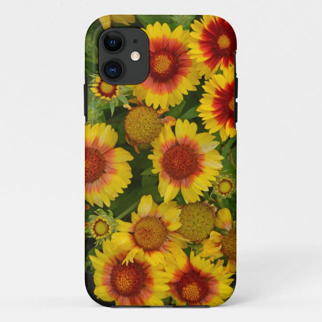 Orange and yellow echinacea floral iphone case (Back)