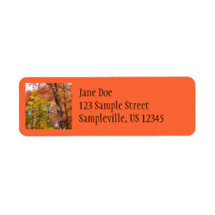 Orange and Yellow Fall Trees Autumn Photography