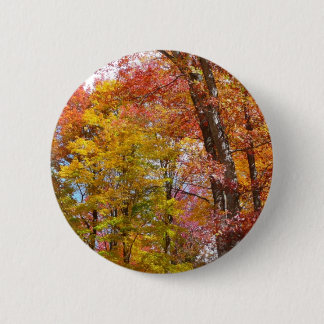 Orange and Yellow Fall Trees Autumn Photography 6 Cm Round Badge