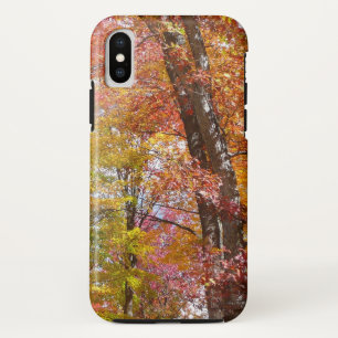Orange and Yellow Fall Trees Autumn Photography Case-Mate iPhone Case