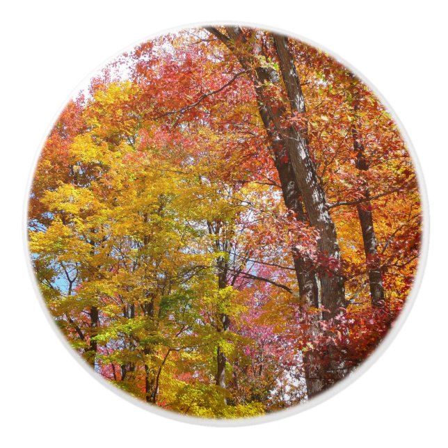 Orange and Yellow Fall Trees Autumn Photography Ceramic Knob (Front)