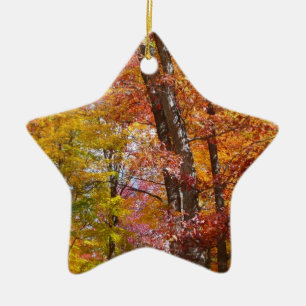 Orange and Yellow Fall Trees Autumn Photography Ceramic Tree Decoration