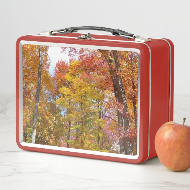 Orange and Yellow Fall Trees Autumn Photography Metal Lunch Box (In Situ)