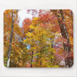 Orange and Yellow Fall Trees Autumn Photography Mouse Pad