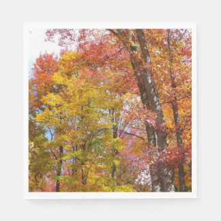 Orange and Yellow Fall Trees Autumn Photography Napkin