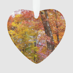 Orange and Yellow Fall Trees Autumn Photography Ornament