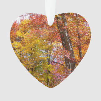 Orange and Yellow Fall Trees Autumn Photography Ornament
