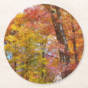 Orange and Yellow Fall Trees Autumn Photography Round Paper Coaster