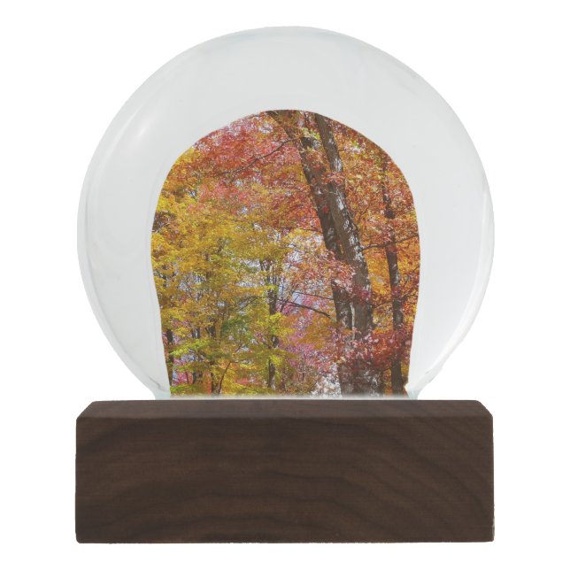 Orange and Yellow Fall Trees Autumn Photography Snow Globe (Front)