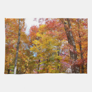 Orange and Yellow Fall Trees Autumn Photography Tea Towel