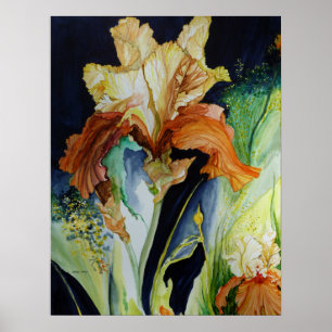 Orange and Yellow Iris Poster