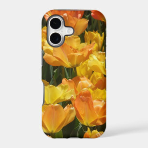 Orange and Yellow Tulips