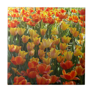 Orange and yellow tulips ceramic tile