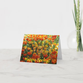 Orange and yellow tulips Note Cards