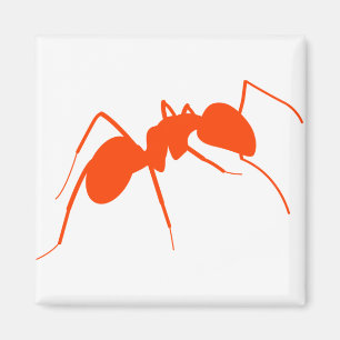 Orange Ant Magnet