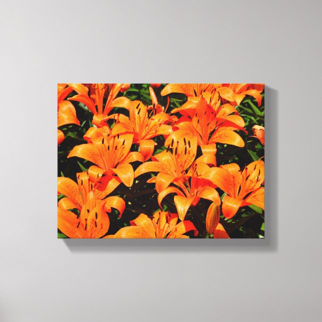 Orange Asian lilies  Canvas Print (Front)