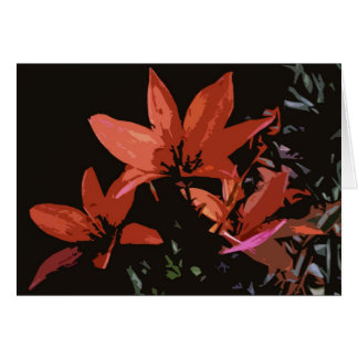 Orange Asiatic Lily
