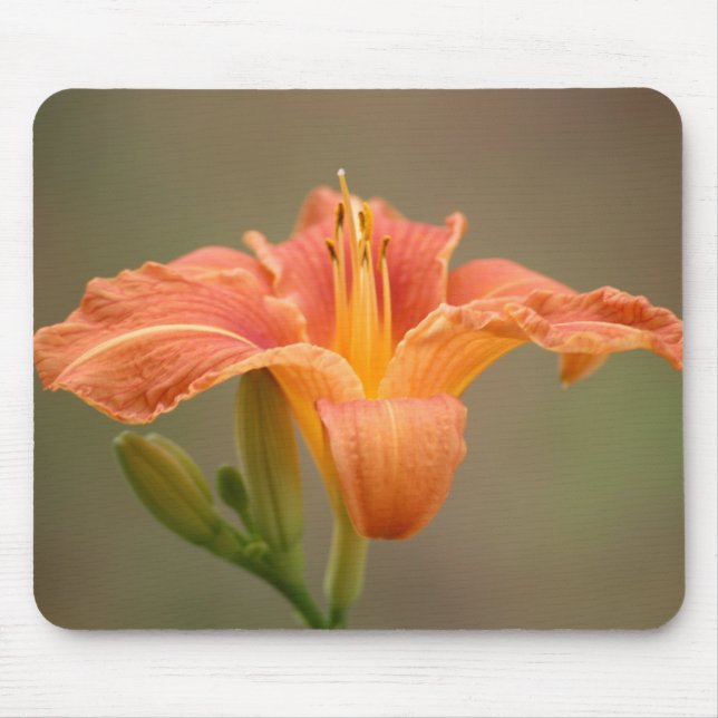 Orange asiatische Lilie Mouse Pad (Front)