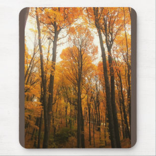 Orange Autumn Forest Mouse Pad
