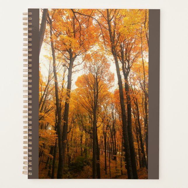 Orange Autumn Forest Planner (Front)