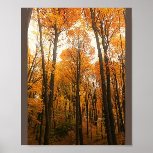 Orange Autumn Forest Poster (Front)