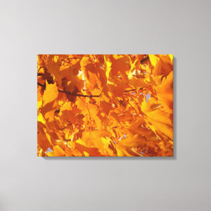 Orange Autumn leaves tree art prints canvas gifts