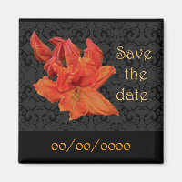 Orange Azalea Blossoms