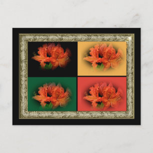Orange Azaleas Postcard
