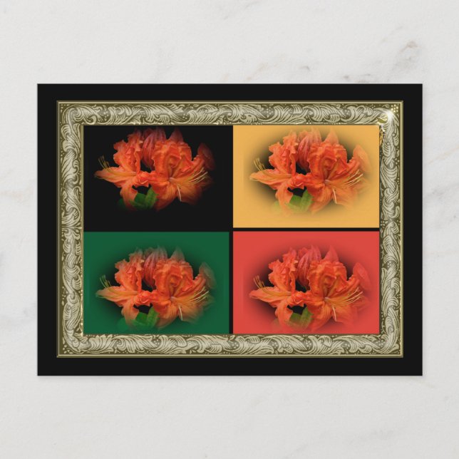 Orange Azaleas Postcard (Front)