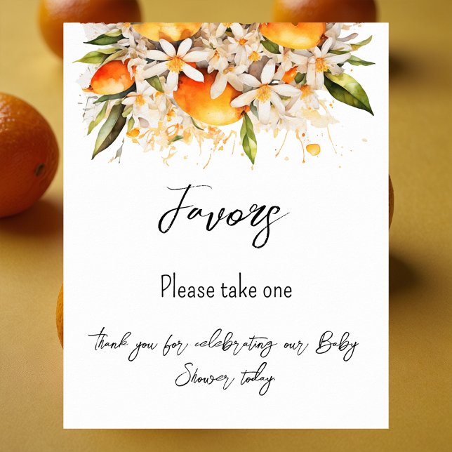 Orange Baby Shower Citrus Favours Poster (Creator Uploaded)
