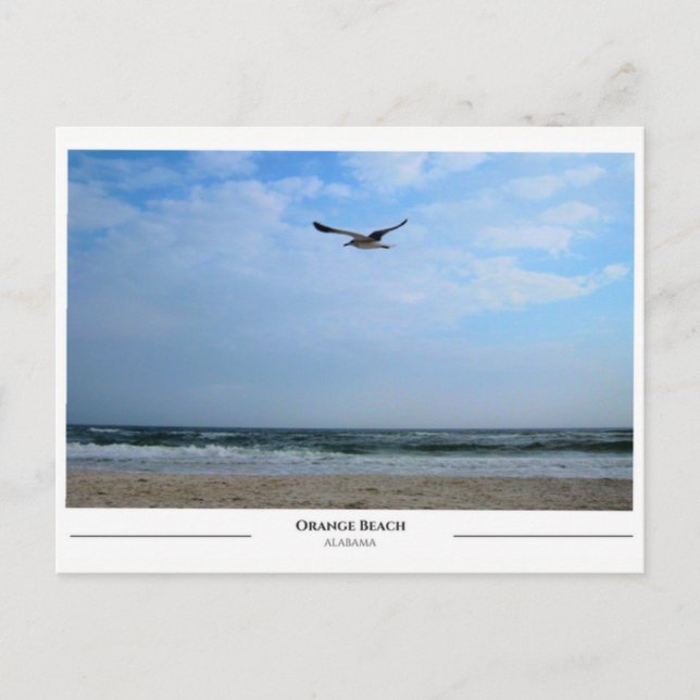 Orange Beach Alabama Postcard (Front)