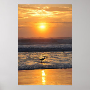 Orange Beach Sunrise Bird Fishing Florida Poster