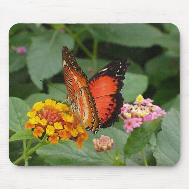 Orange Beauty Mouse Pad (Front)