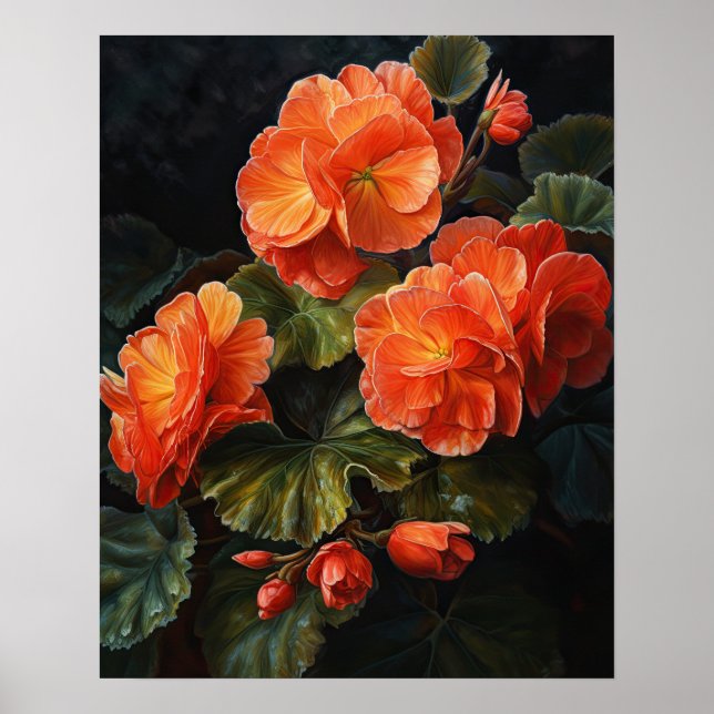 Orange Begonia Flowers Art Print Poster (Front)