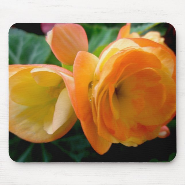 Orange Begonia Mousepad (Front)