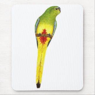 Orange-bellied Parrot - Neophema chrysogaster Mouse Pad