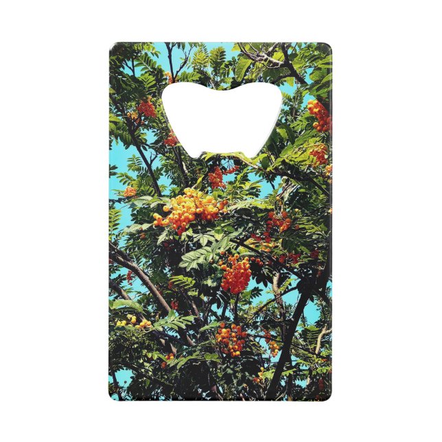 Orange berries (Front)