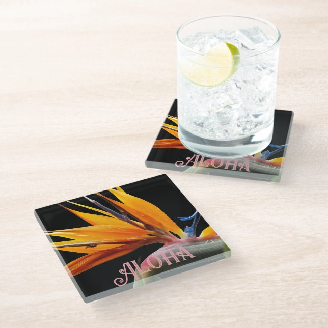 Orange Bird of Paradise Plant Bloom Aloha Glass Coaster (Angled)
