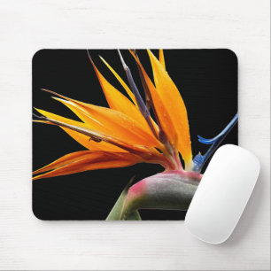 Orange Bird of Paradise Plant on Black Mouse Pad