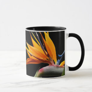 Orange Bird of Paradise Plant on Black Mug
