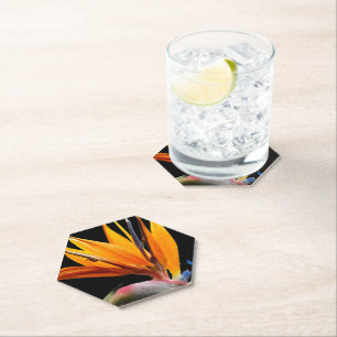 Orange Bird of Paradise Plant on Black Paper Coaster