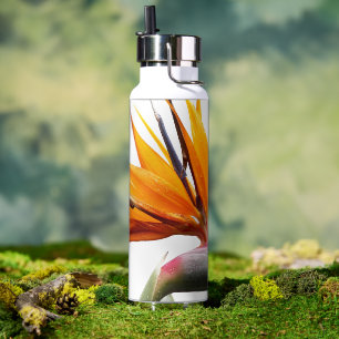 Orange Bird of Paradise Plant on White Water Bottle