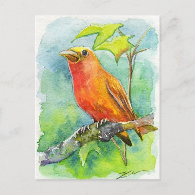 Orange Bird Postcard (Front)